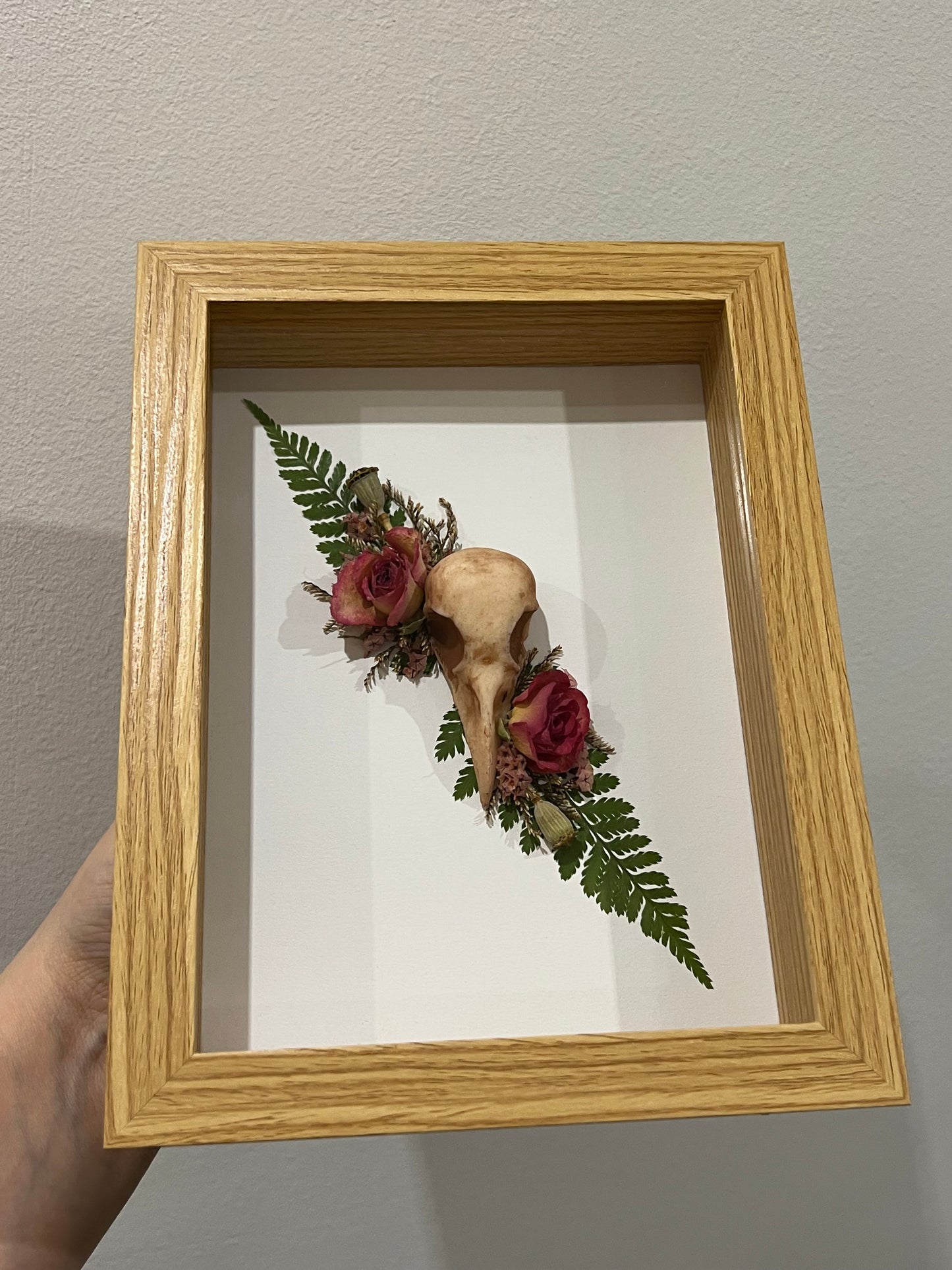 Rabenschädel mit Rosen Blumen und Samen in Bilderrahmen