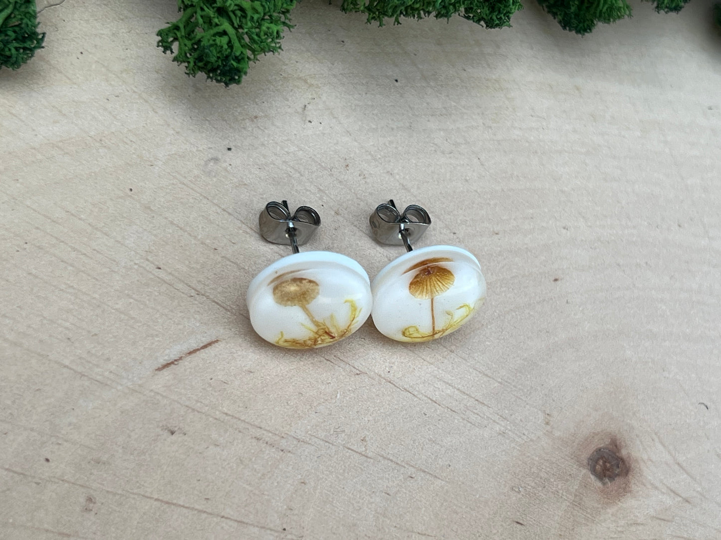 Ohrstecker mit echten Pilzen und Moos