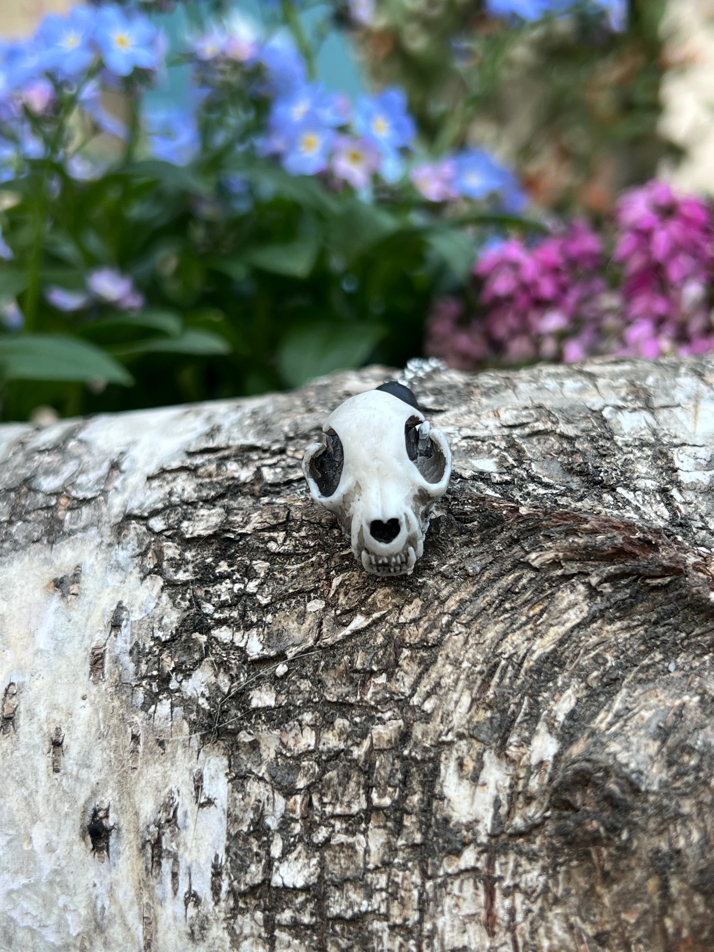 Katzenschädel Halskette mit Pentagramm Silber