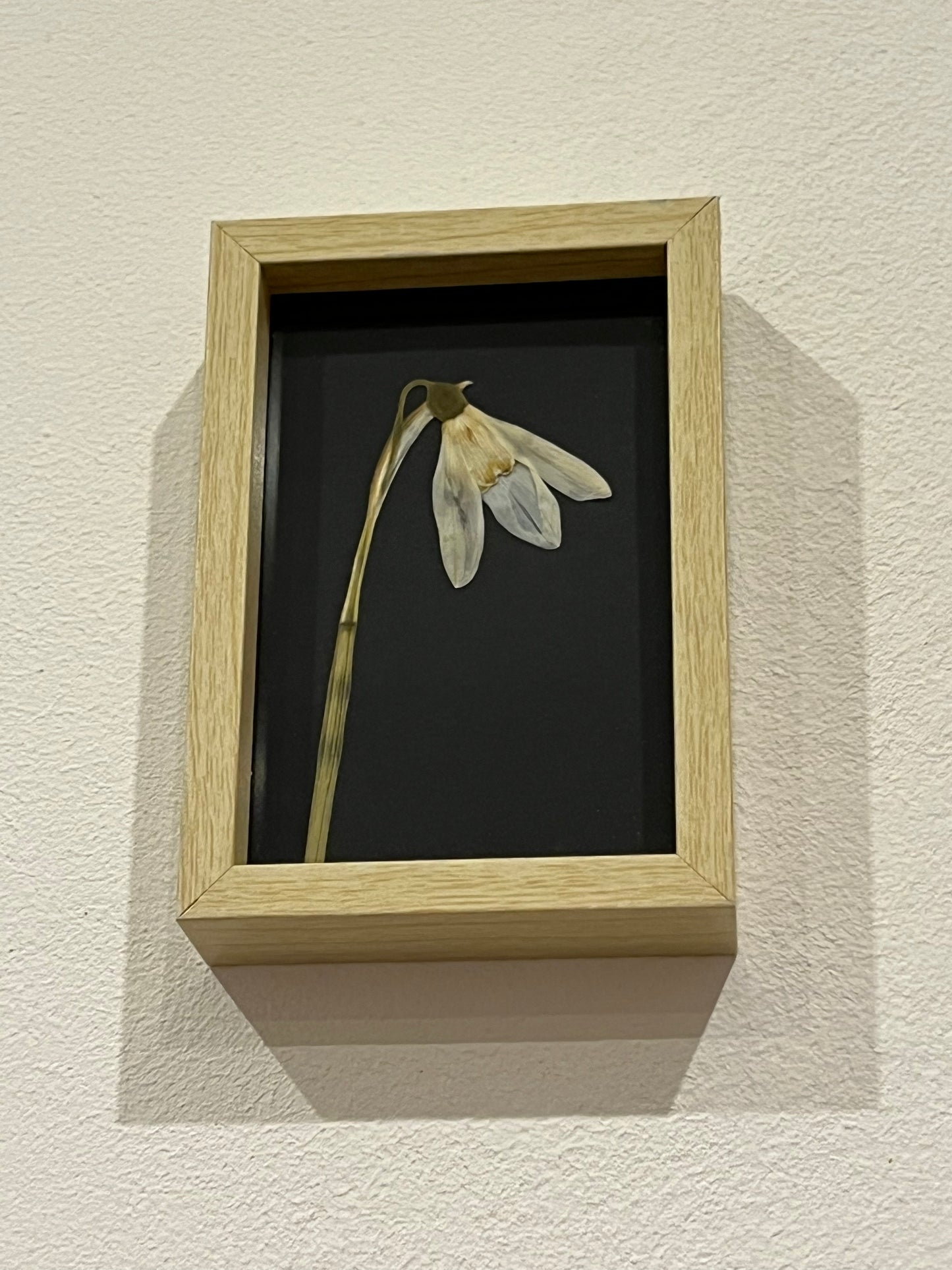 Blumen Bilderrahmen klein