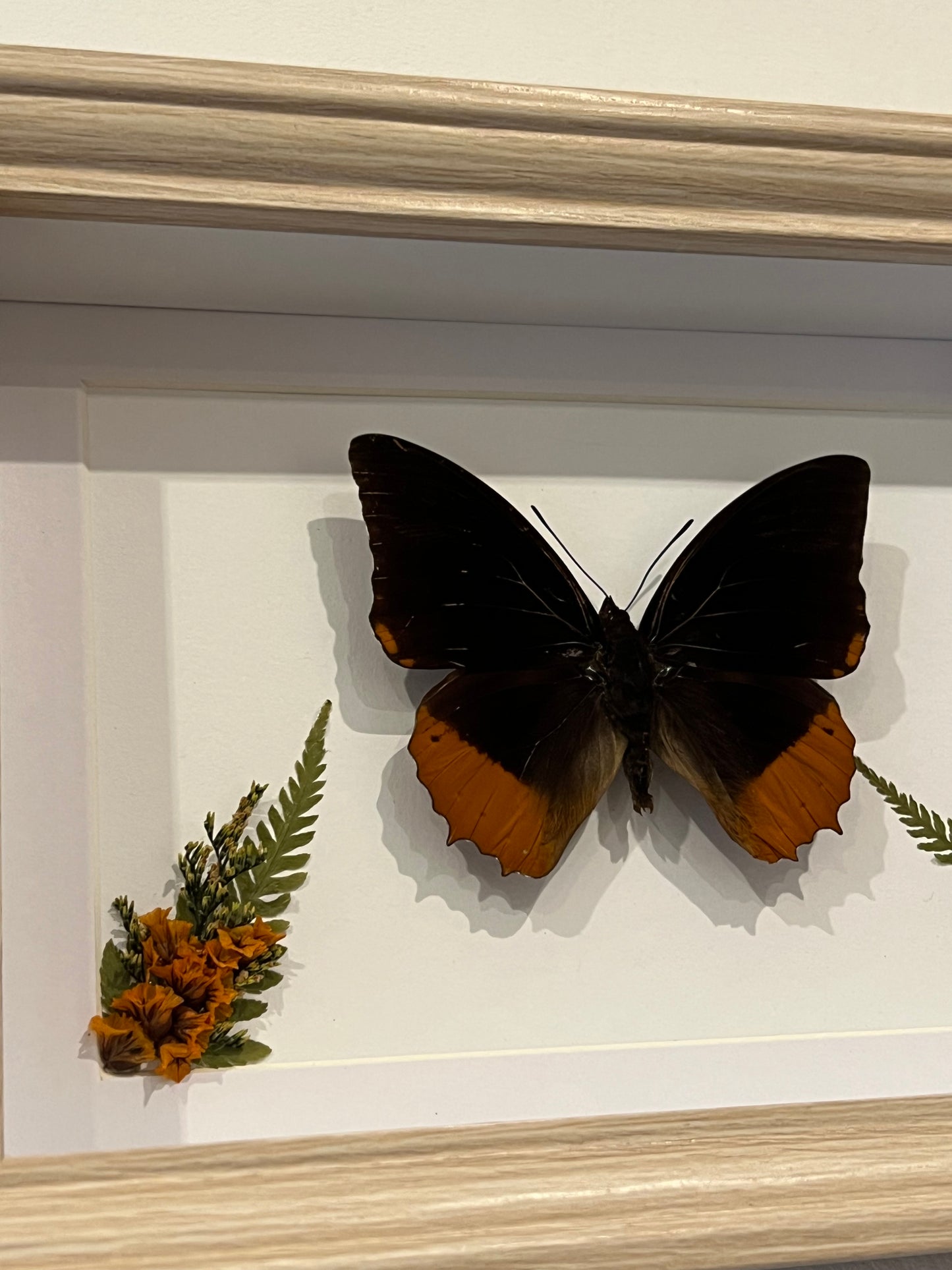 Bilderrahmen mit Flammen-Prachtfalter und Blumen