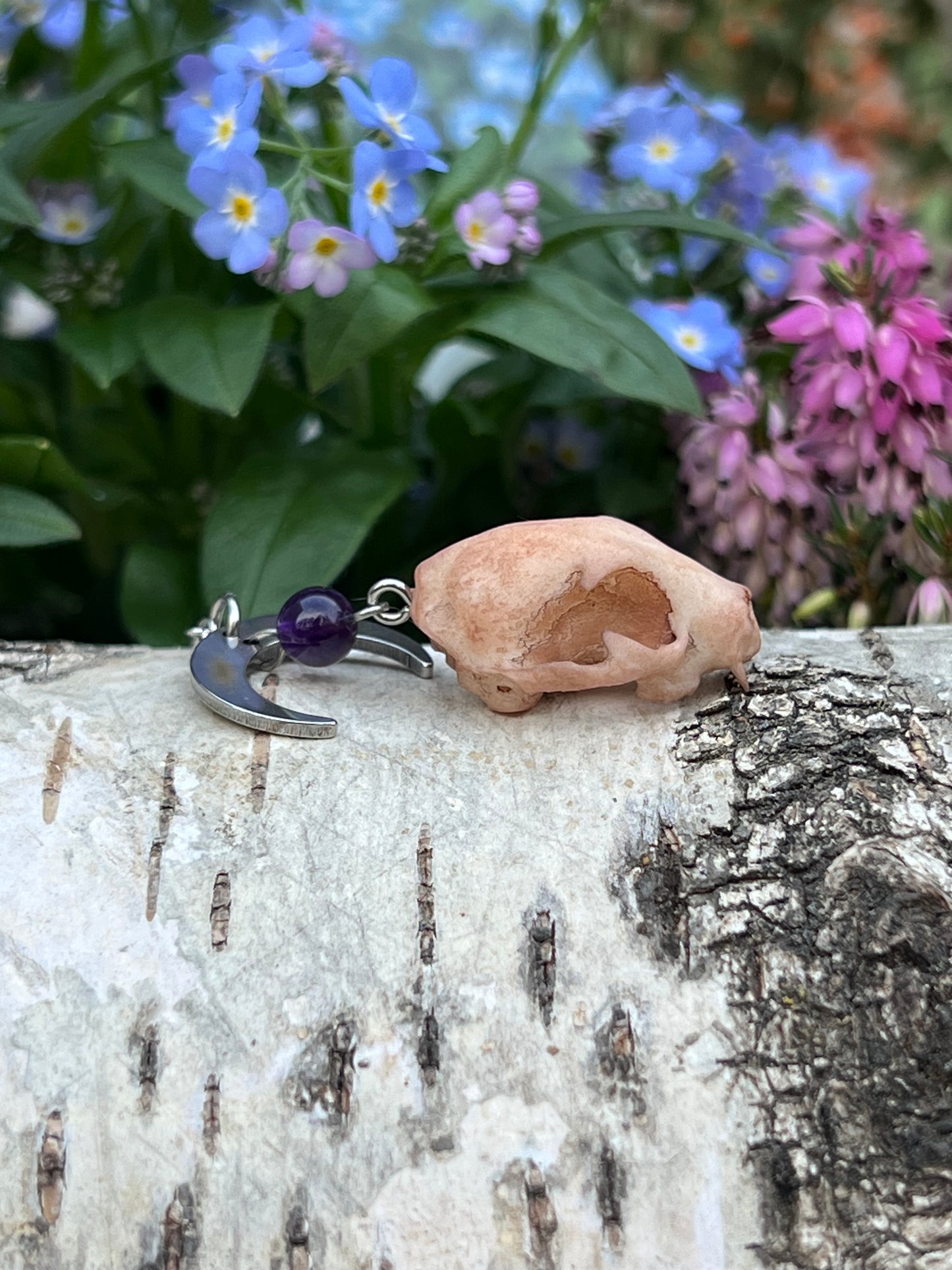 Katzenschädel mit Amethyst Perle und Mond Silber