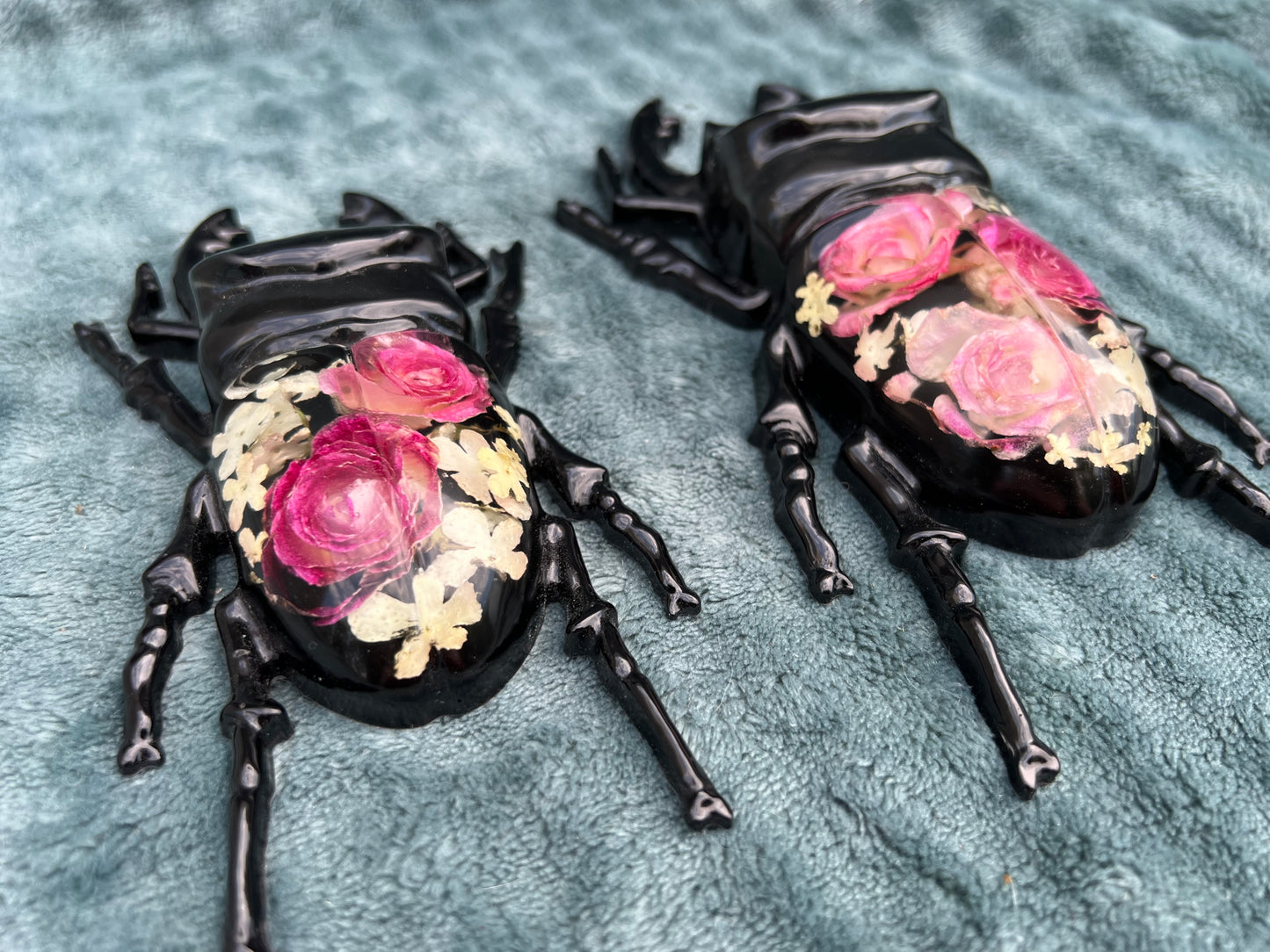 Hirschkäfer mit Rosen und Schneeballblüten
