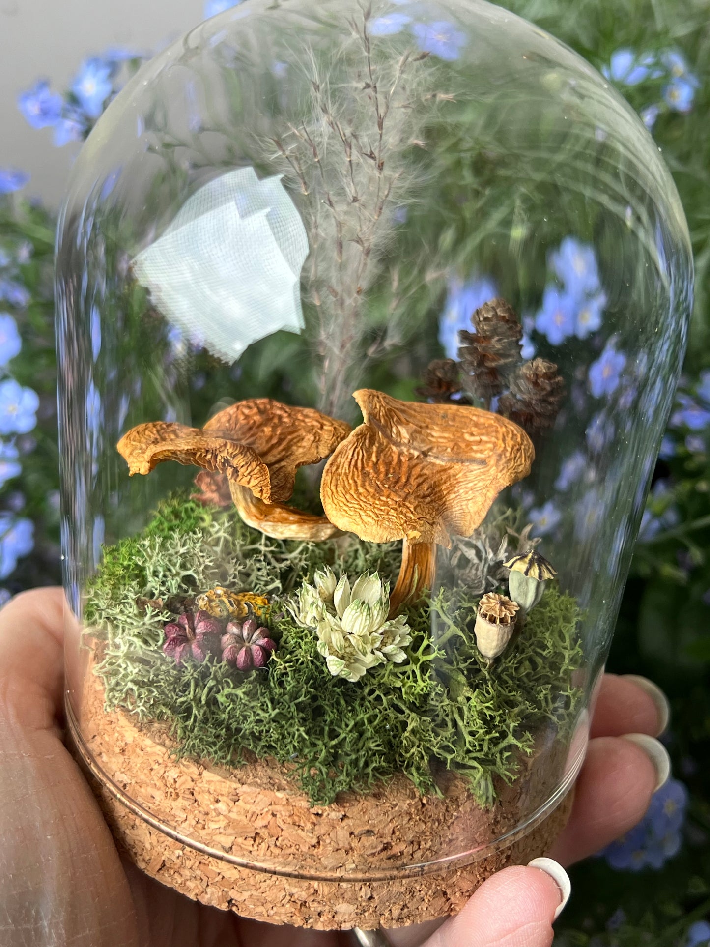 Miniaturwelt mit Flämmling Pilze
