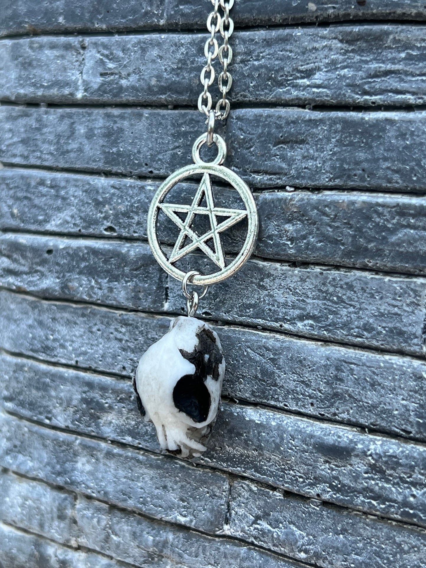 Katzenschädel Halskette Silber