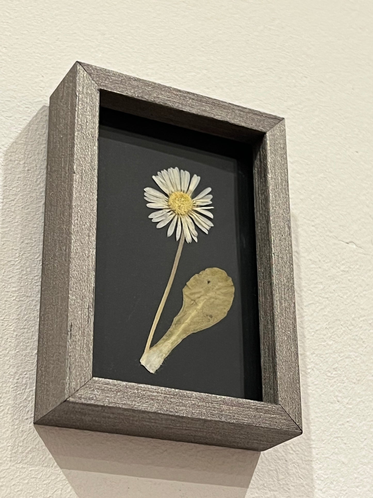 Blumen Bilderrahmen klein