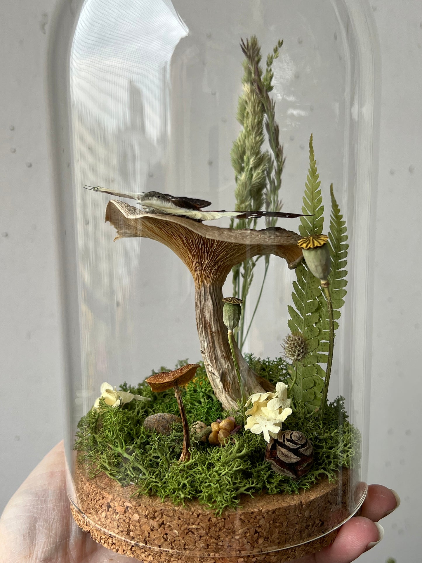 Diorama mit Schmetterling auf Pilz