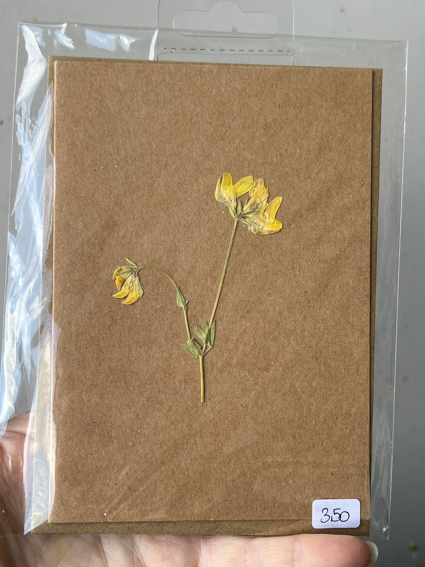 Grußkarten mit Blüten & Blatt