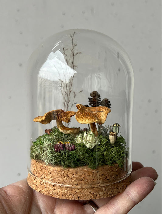 Miniaturwelt mit Flämmling Pilze