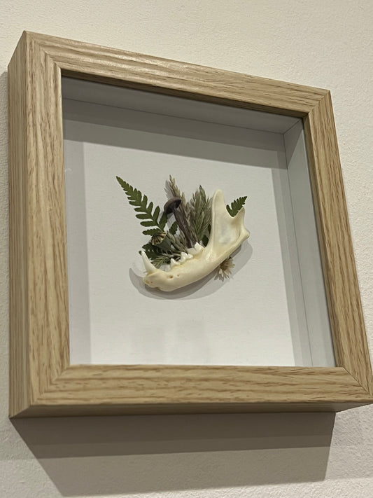 Bilderrahmen Rotluchskiefer mit Pilz, Farn, Gräser und Blumen