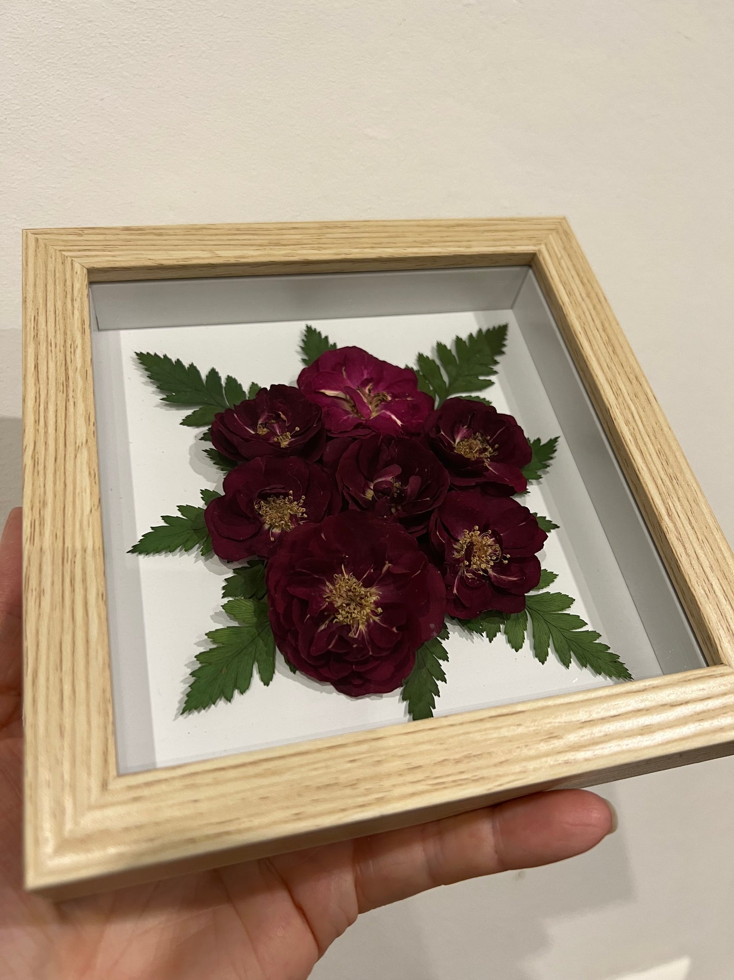 Rosen und Farn in Bilderrahmen