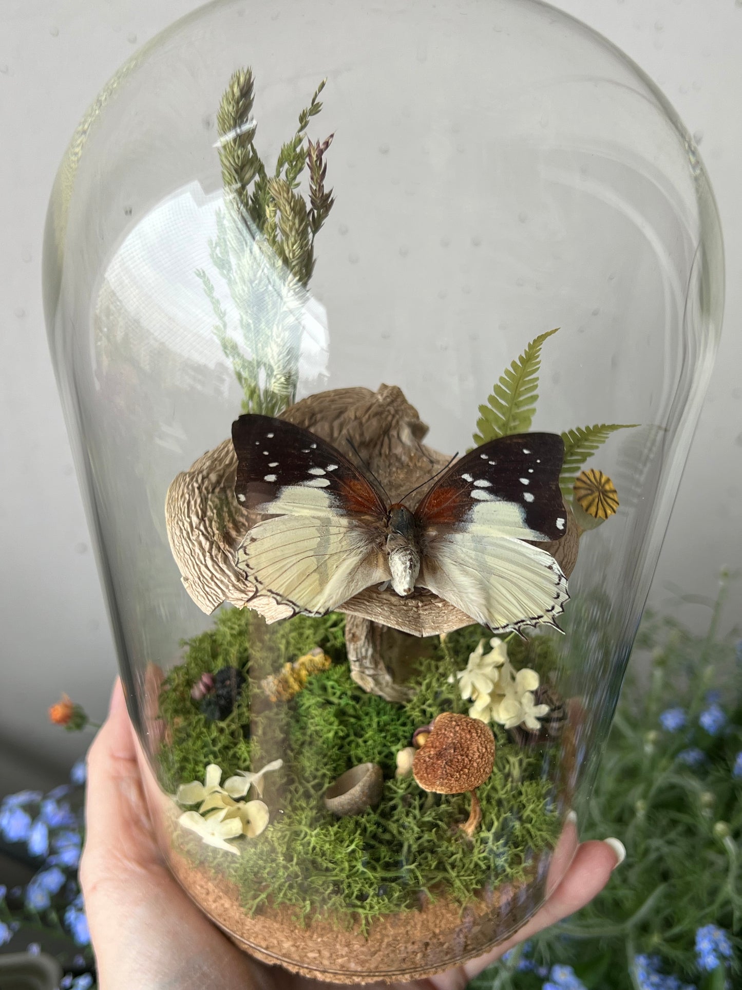 Diorama mit Schmetterling auf Pilz