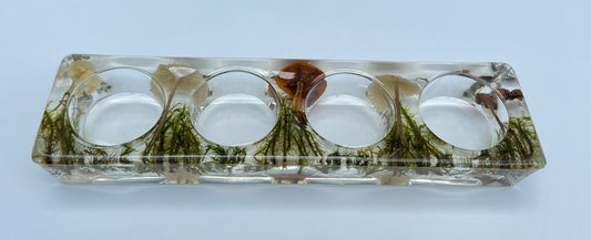Teelichthalter mit echten Pilzen und Moos
