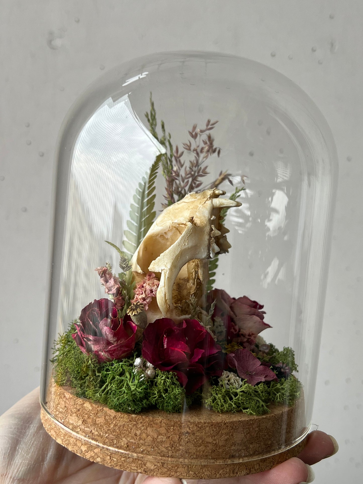 Diorama mit Katzenskull Replikation, Rosen & Blumen