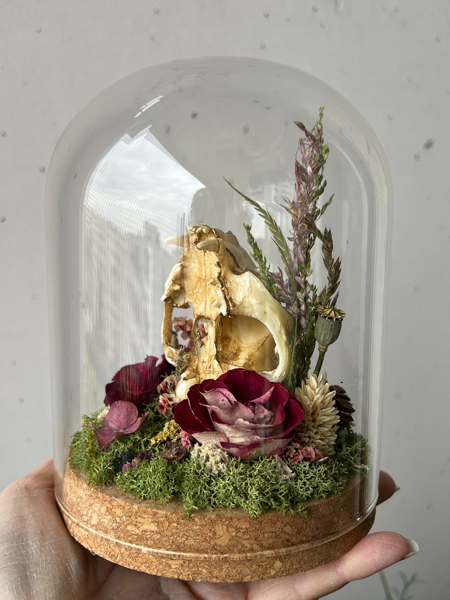Diorama mit Katzenskull Replikation, Rosen & Blumen