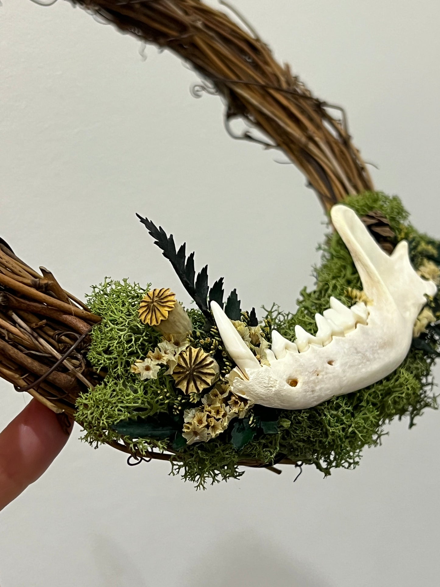 Kranz mit Fuchsunterkiefer Blumen, Samen und Farn