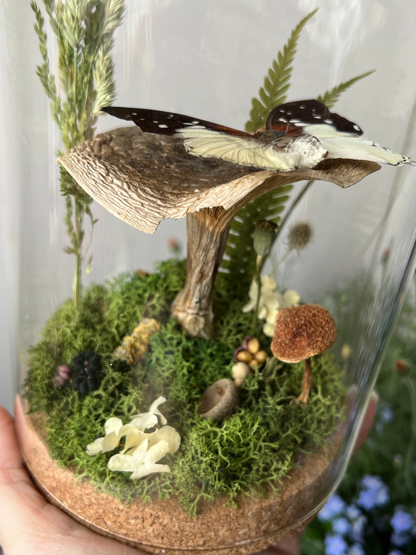 Diorama mit Schmetterling auf Pilz