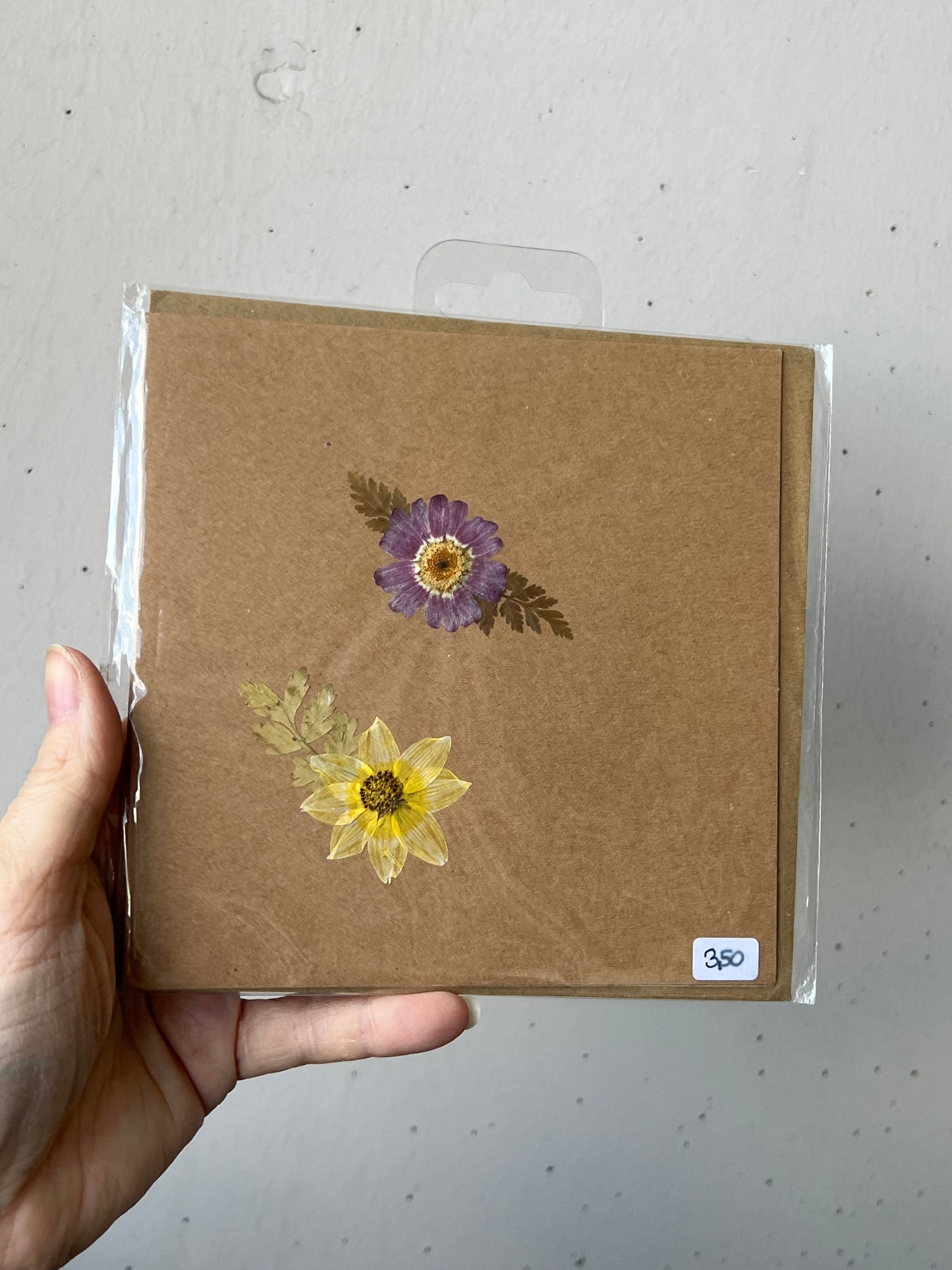 Grußkarten mit Pflanzen und Blumen