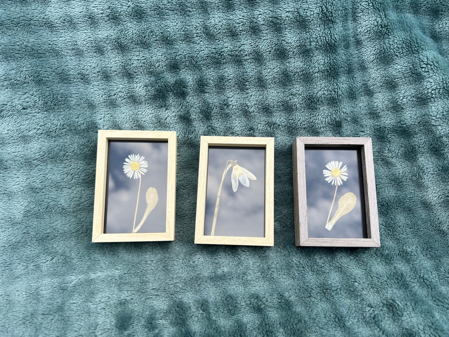 Blumen Bilderrahmen klein