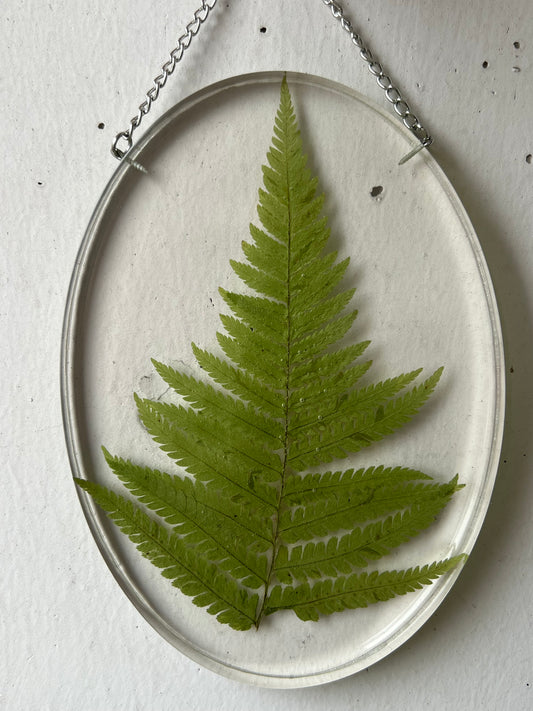 Wandbild mit Farn Blatt