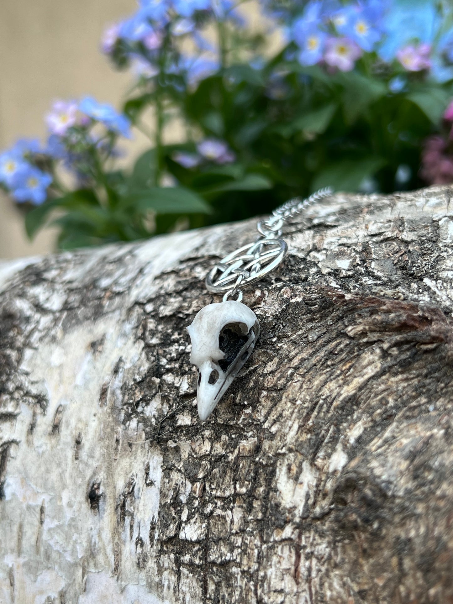 Vogelschädel Halskette mit Pentagramm Silber