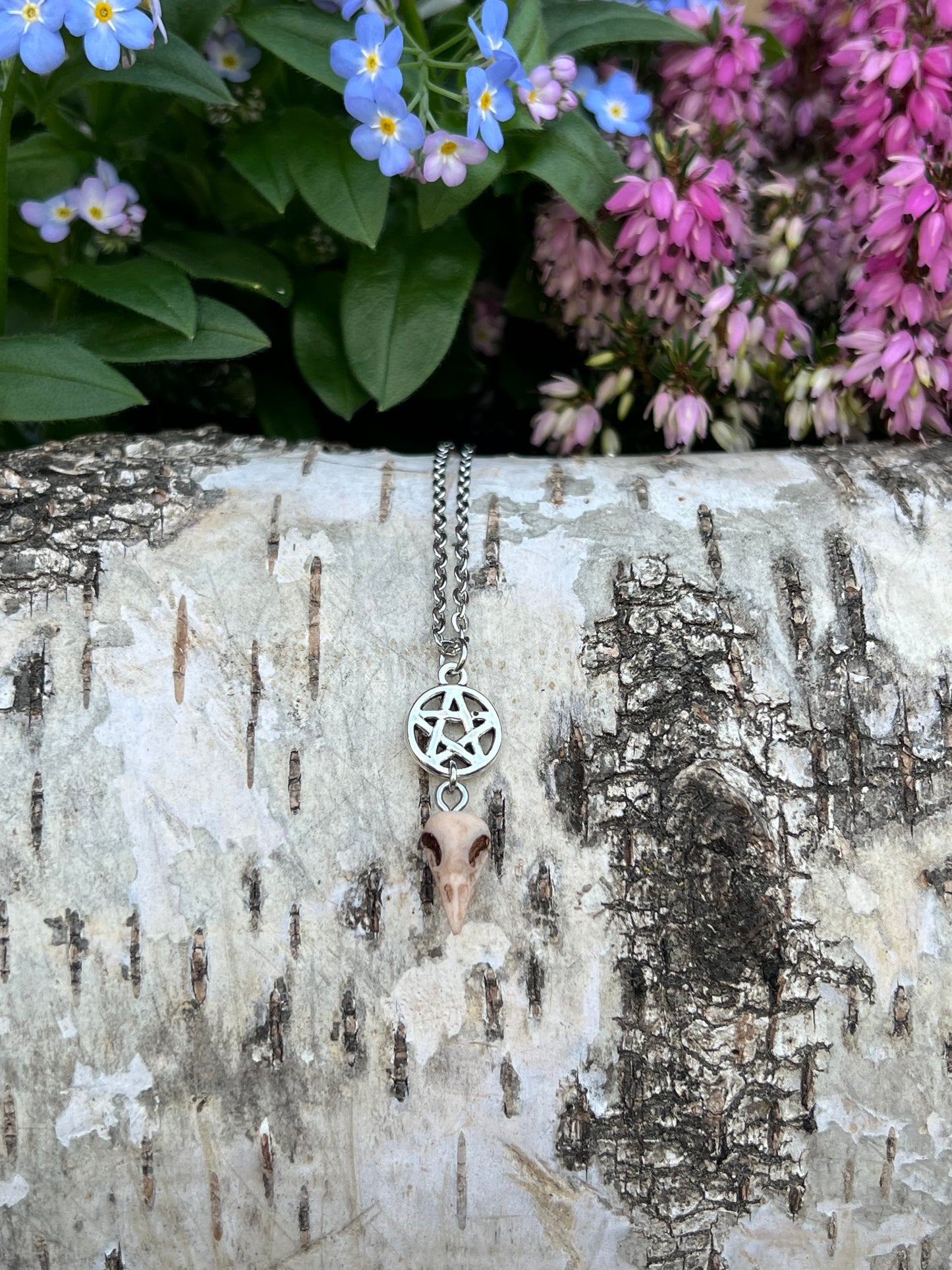 Mini Vogelschädel Halskette mit Pentagramm Silber