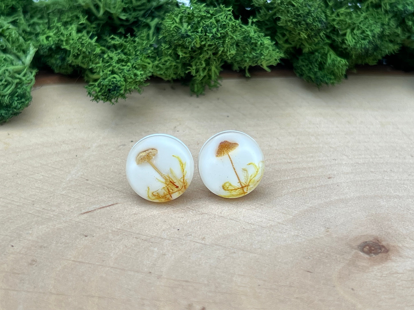 Ohrstecker mit echten Pilzen und Moos