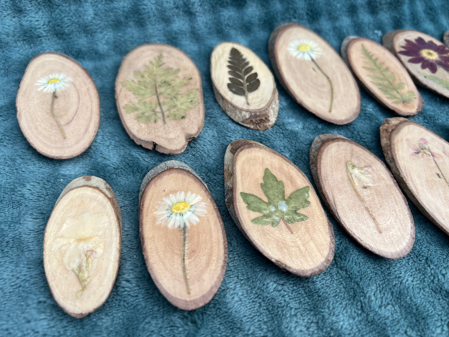 Kleine Baumscheiben mit echten Blüten/Pflanzen