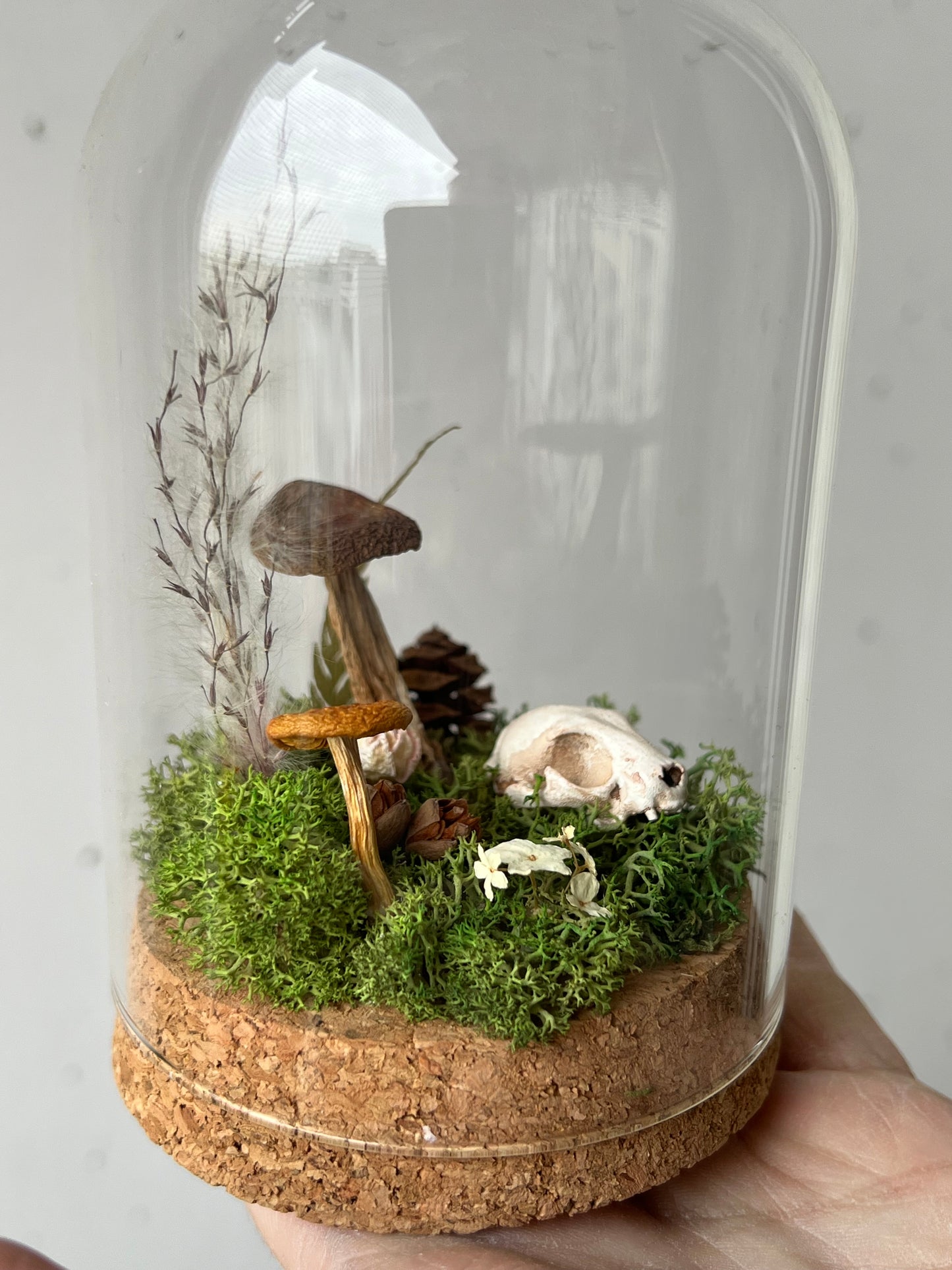 Miniaturwelt mit Katzenschädel und Pilzen