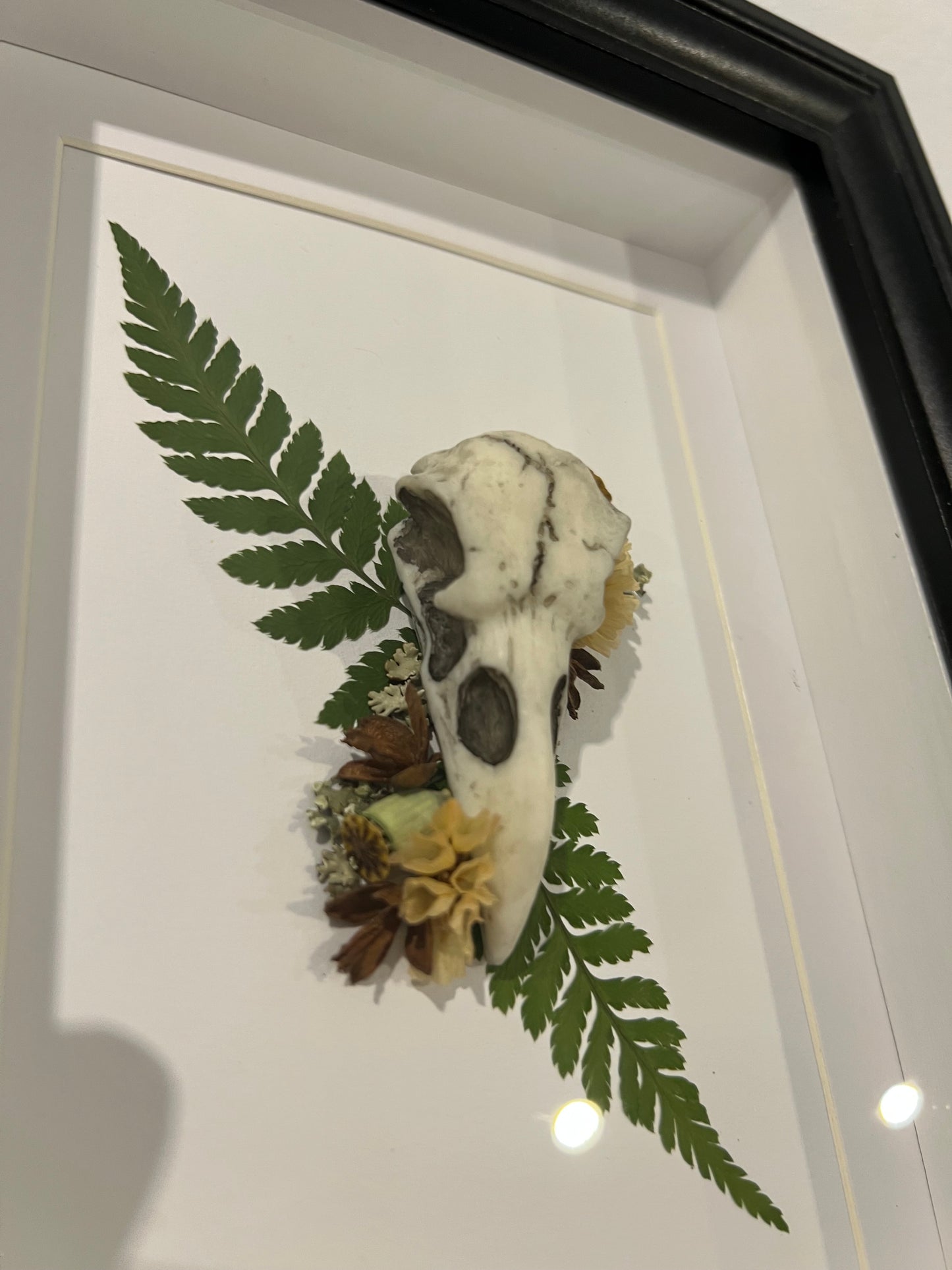 Bilderrahmen mit Vogelschädel aus Kunstharz