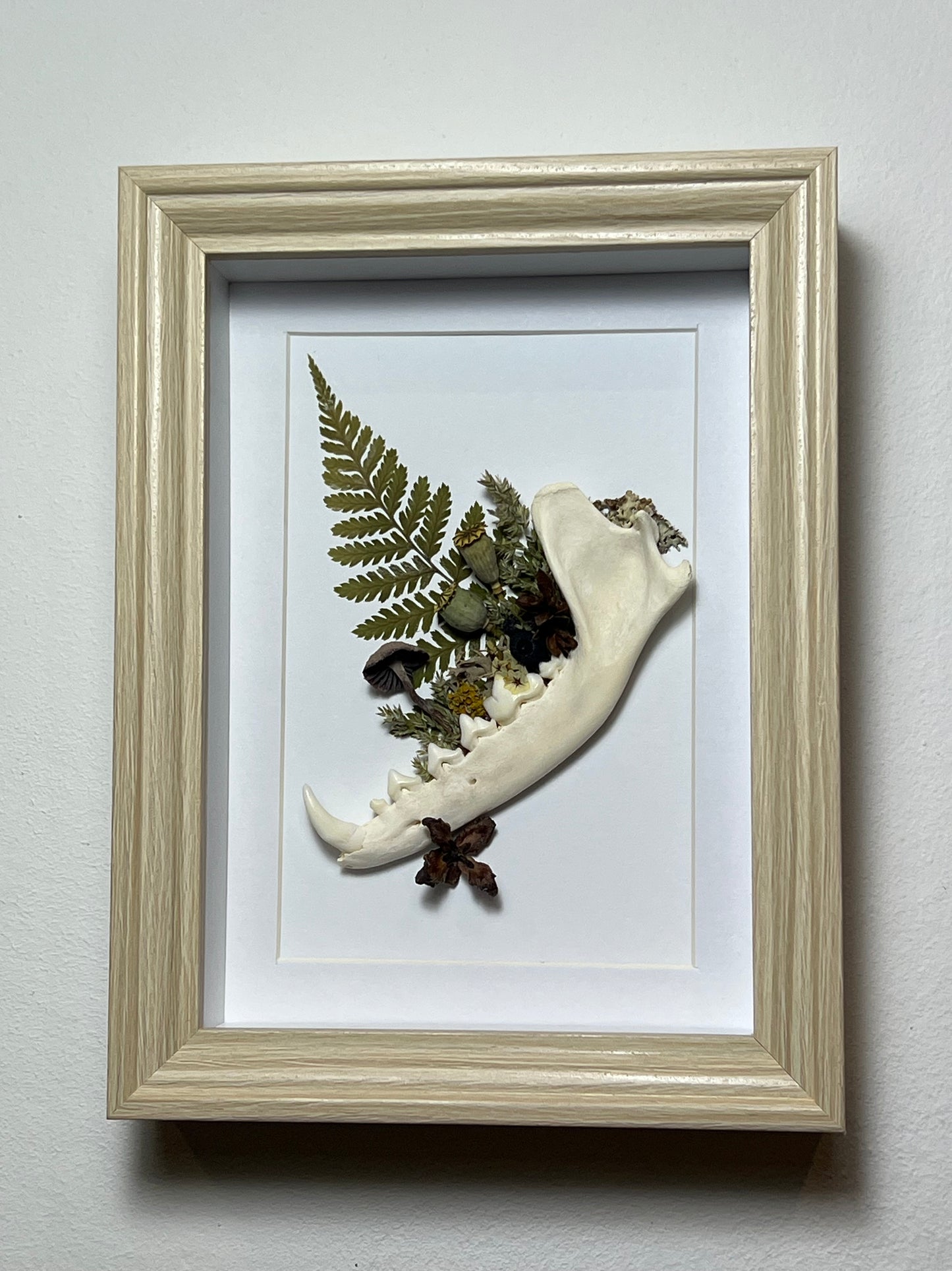 Bilderrahmen mit Fuchskiefer, Pilz, Samen Lichen und Blumen