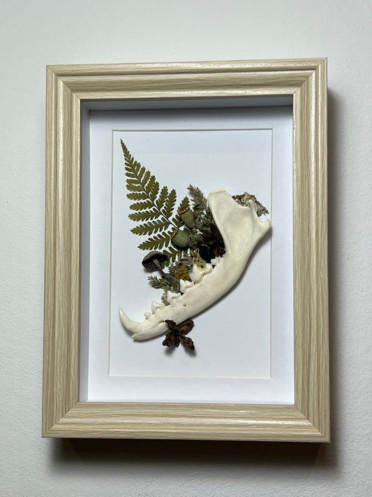 Bilderrahmen mit Fuchskiefer, Pilz, Samen Lichen und Blumen