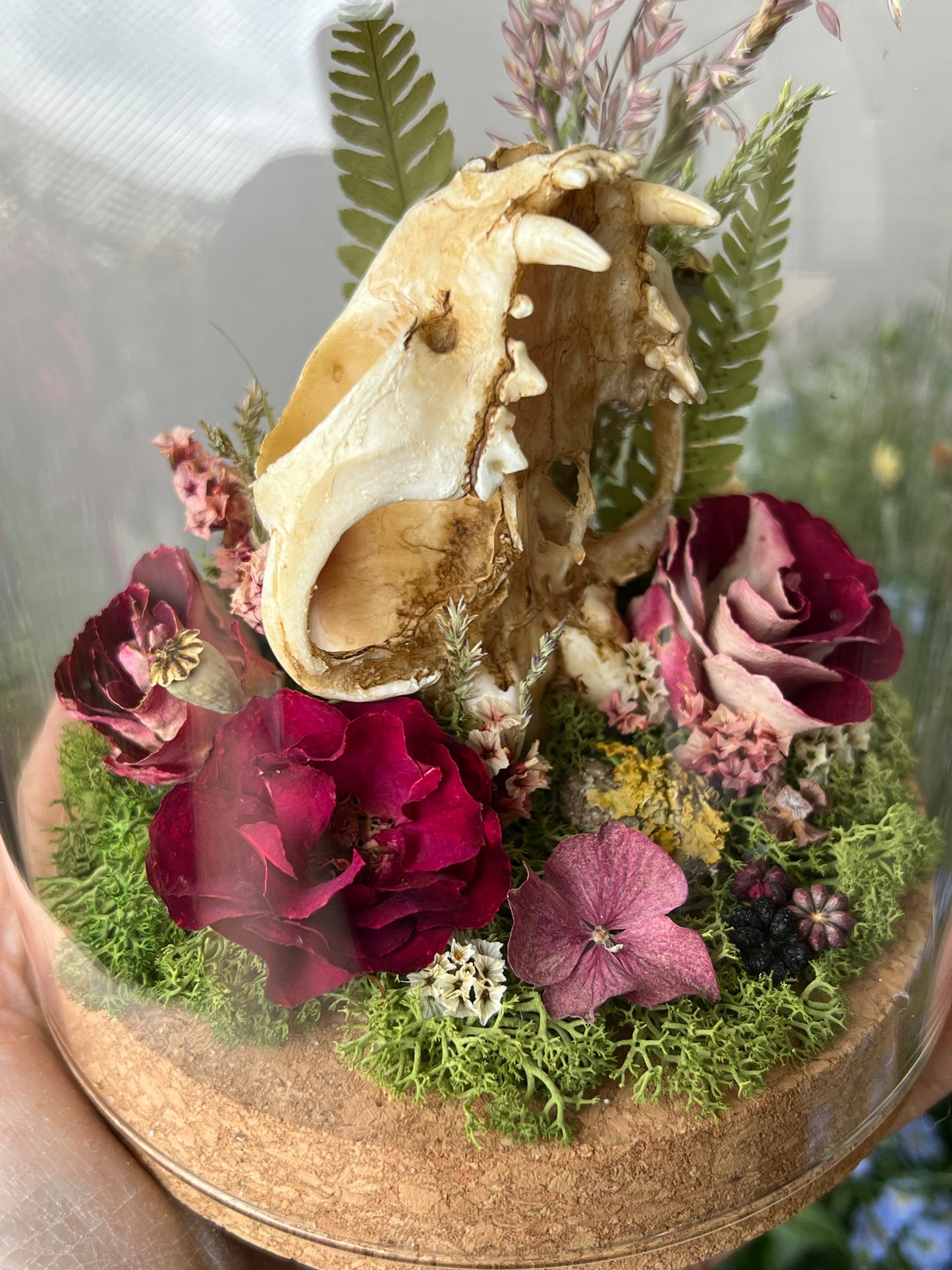 Diorama mit Katzenskull Replikation, Rosen & Blumen