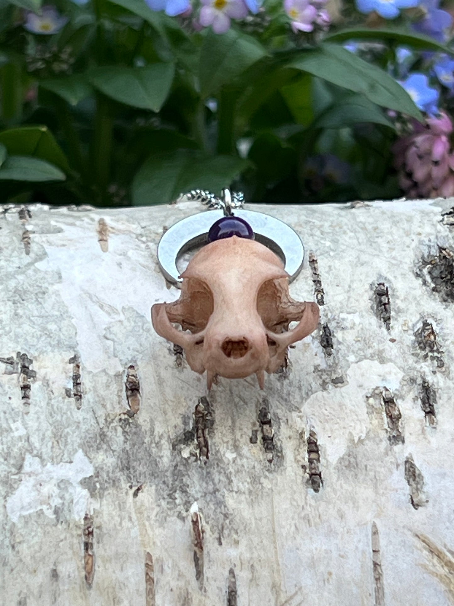 Katzenschädel mit Amethyst Perle und Mond Silber