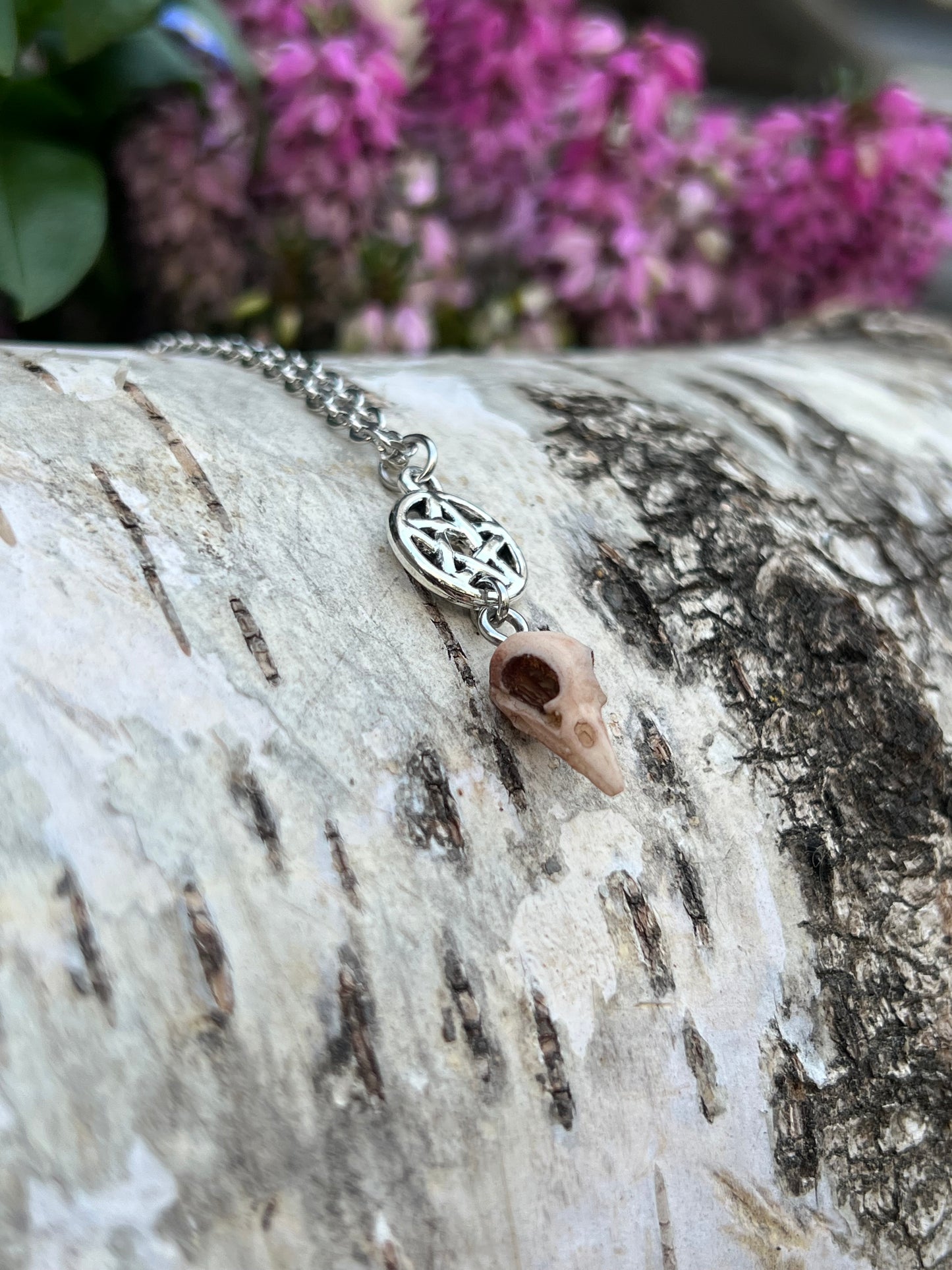 Mini Vogelschädel Halskette mit Pentagramm Silber