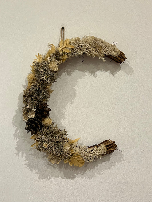 Mondkranz Lichen & Flechten