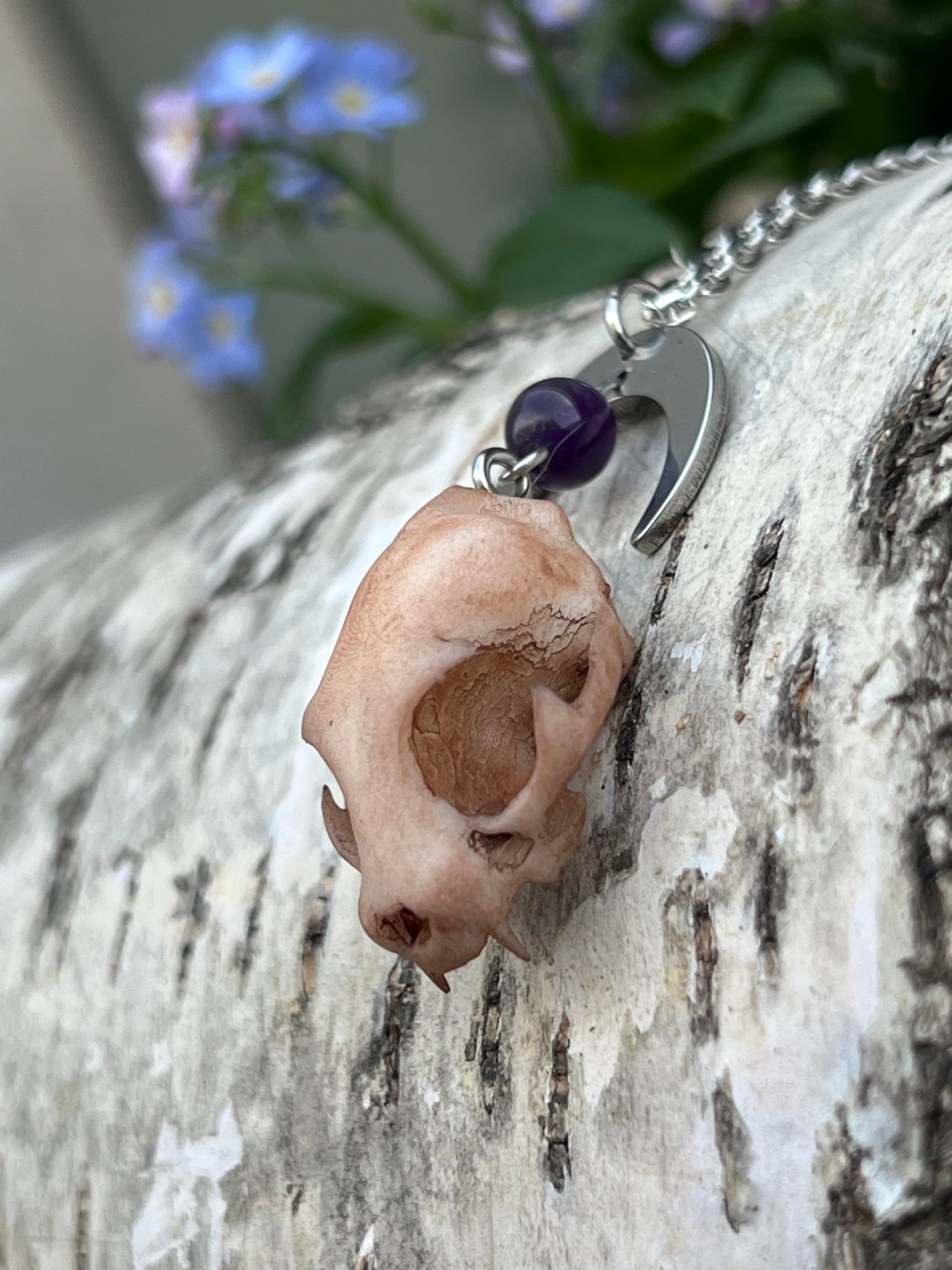 Katzenschädel mit Amethyst Perle und Mond Silber
