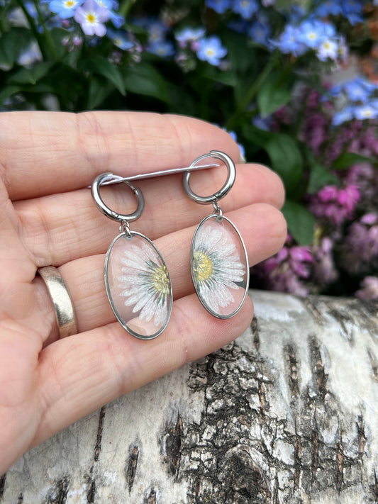 Gänseblümchen Ohrringe Oval Silber