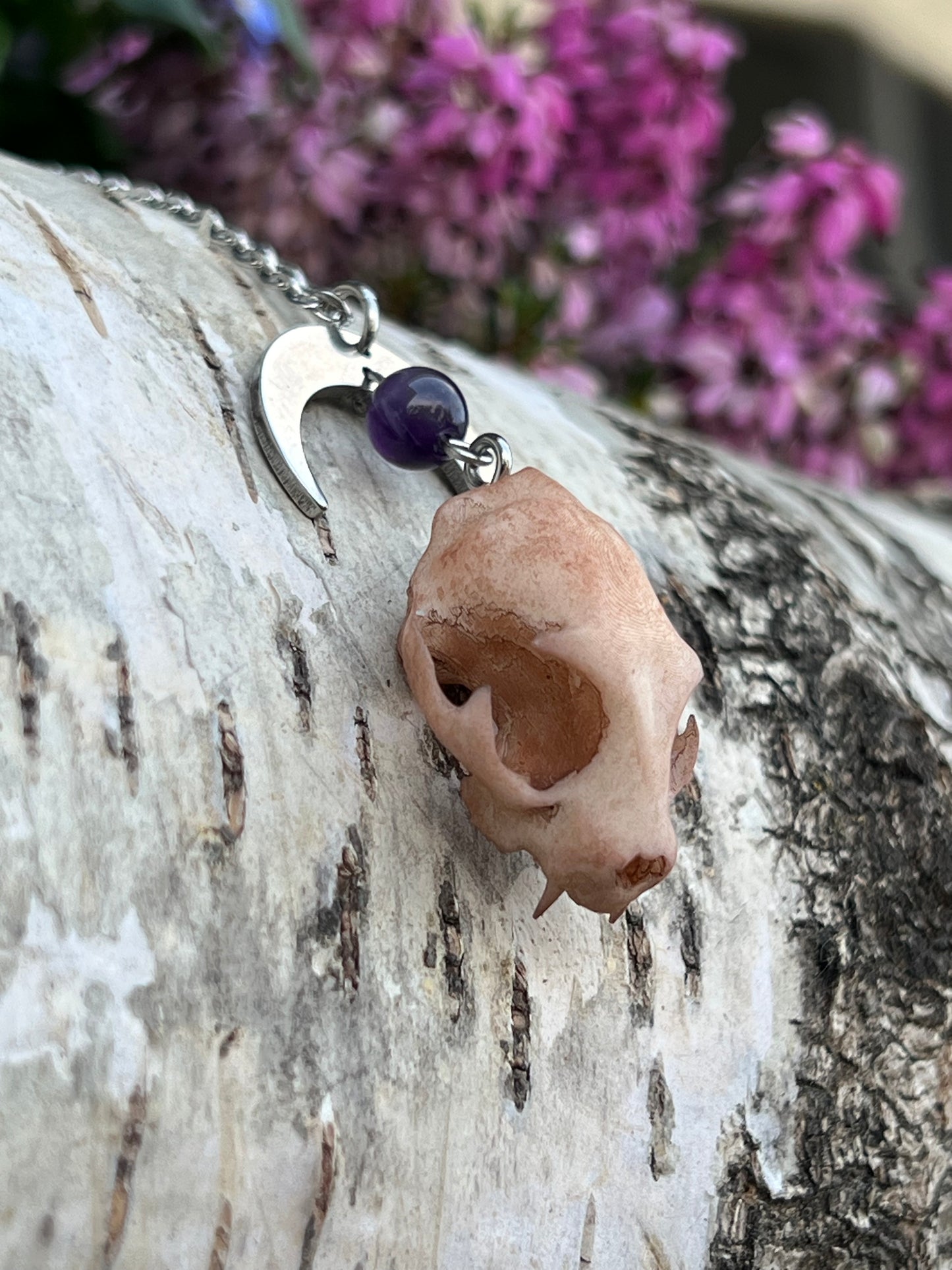Katzenschädel mit Amethyst Perle und Mond Silber
