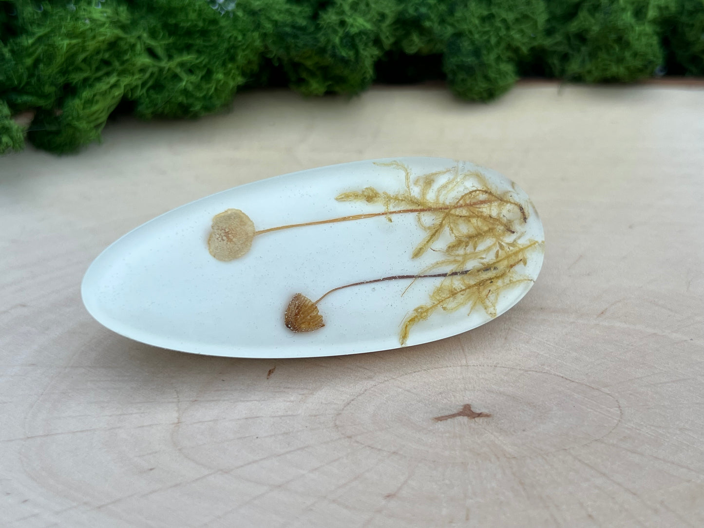 Haarspange mit echten Pilzen und Moos