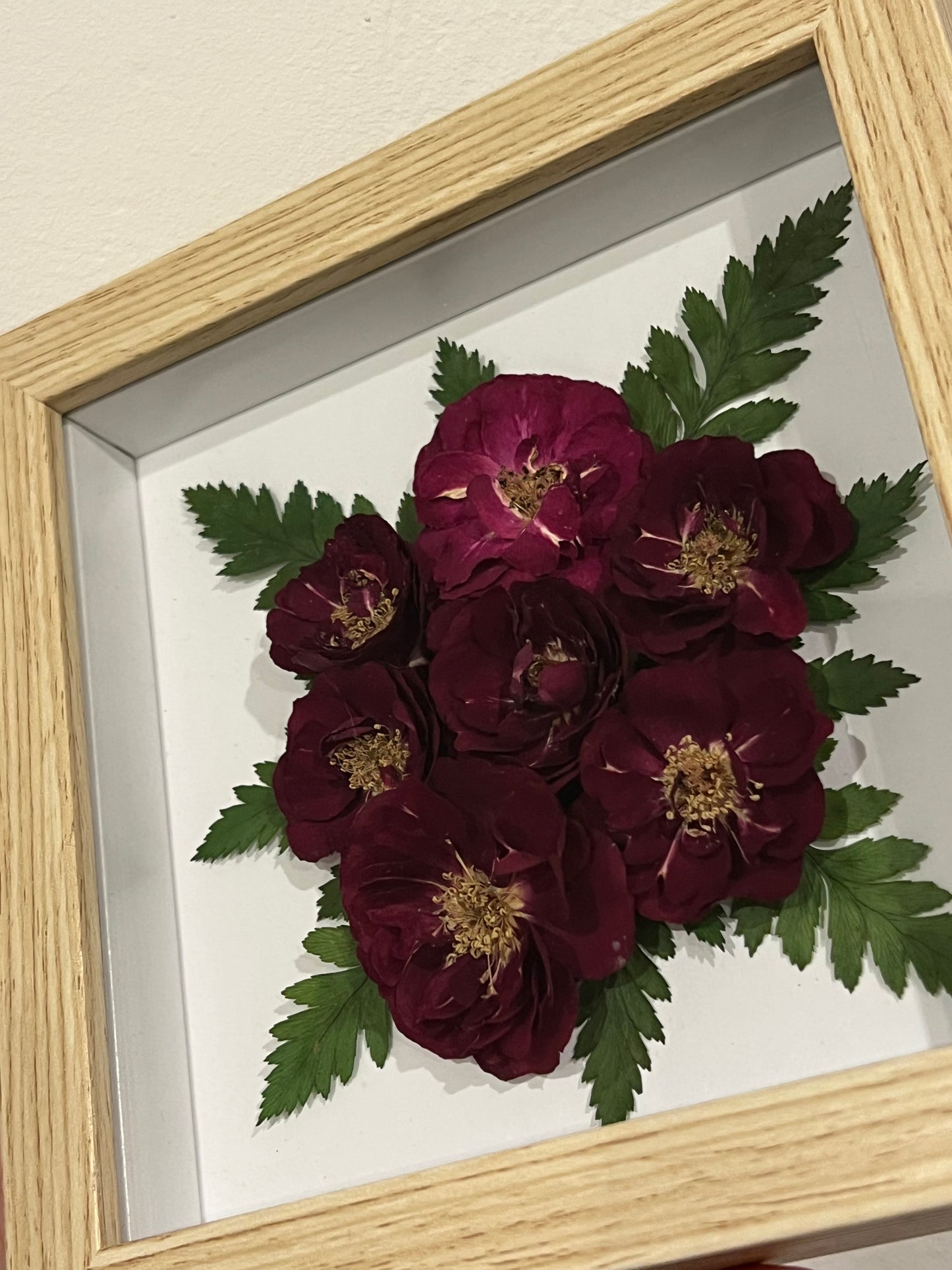 Rosen und Farn in Bilderrahmen