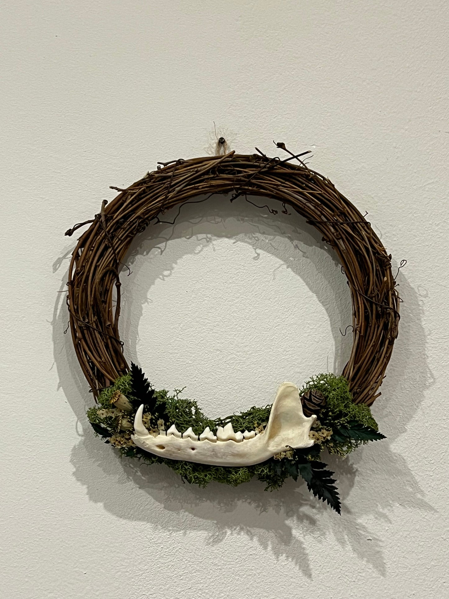 Kranz mit Fuchsunterkiefer Blumen, Samen und Farn