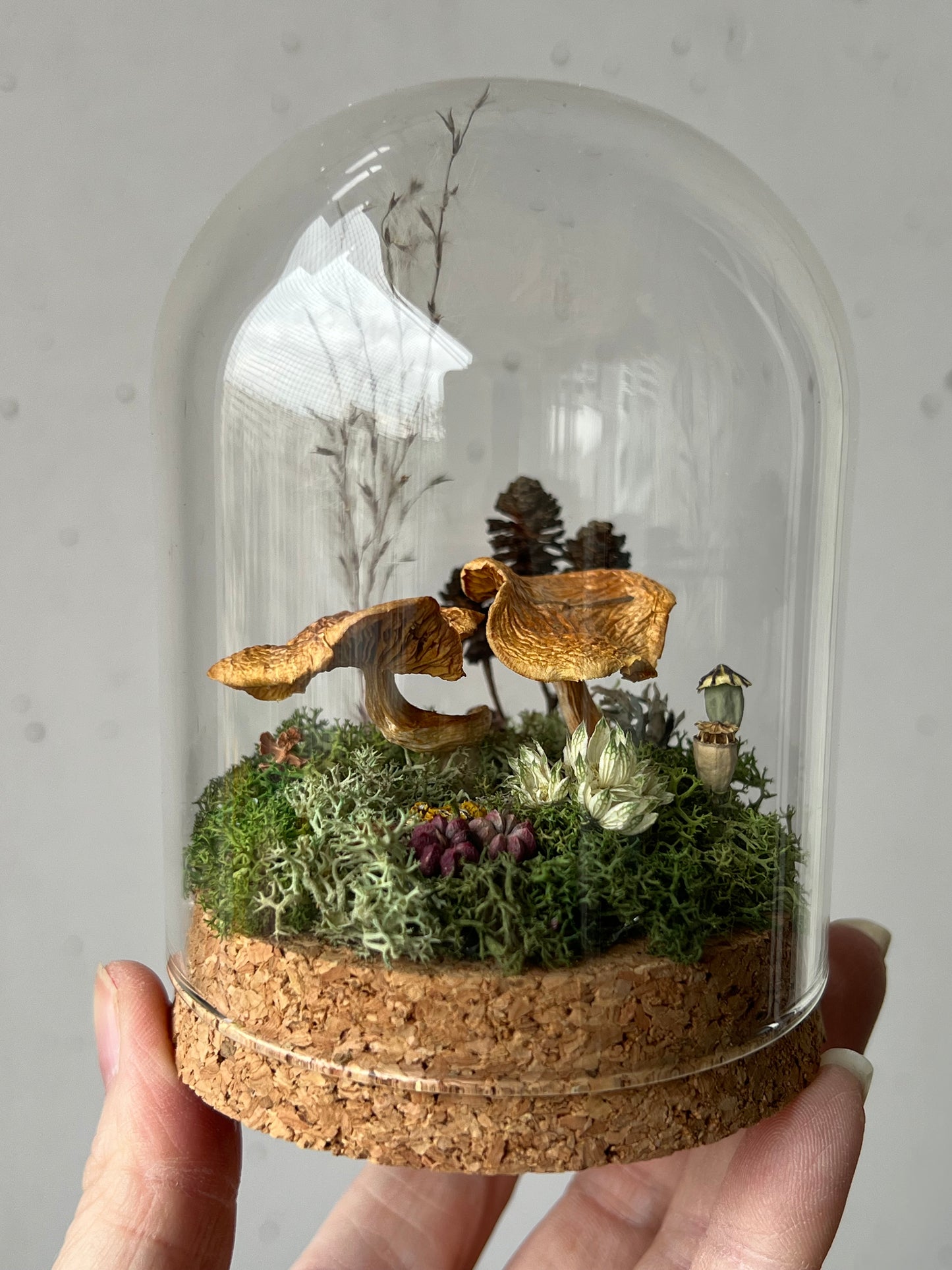 Miniaturwelt mit Flämmling Pilze