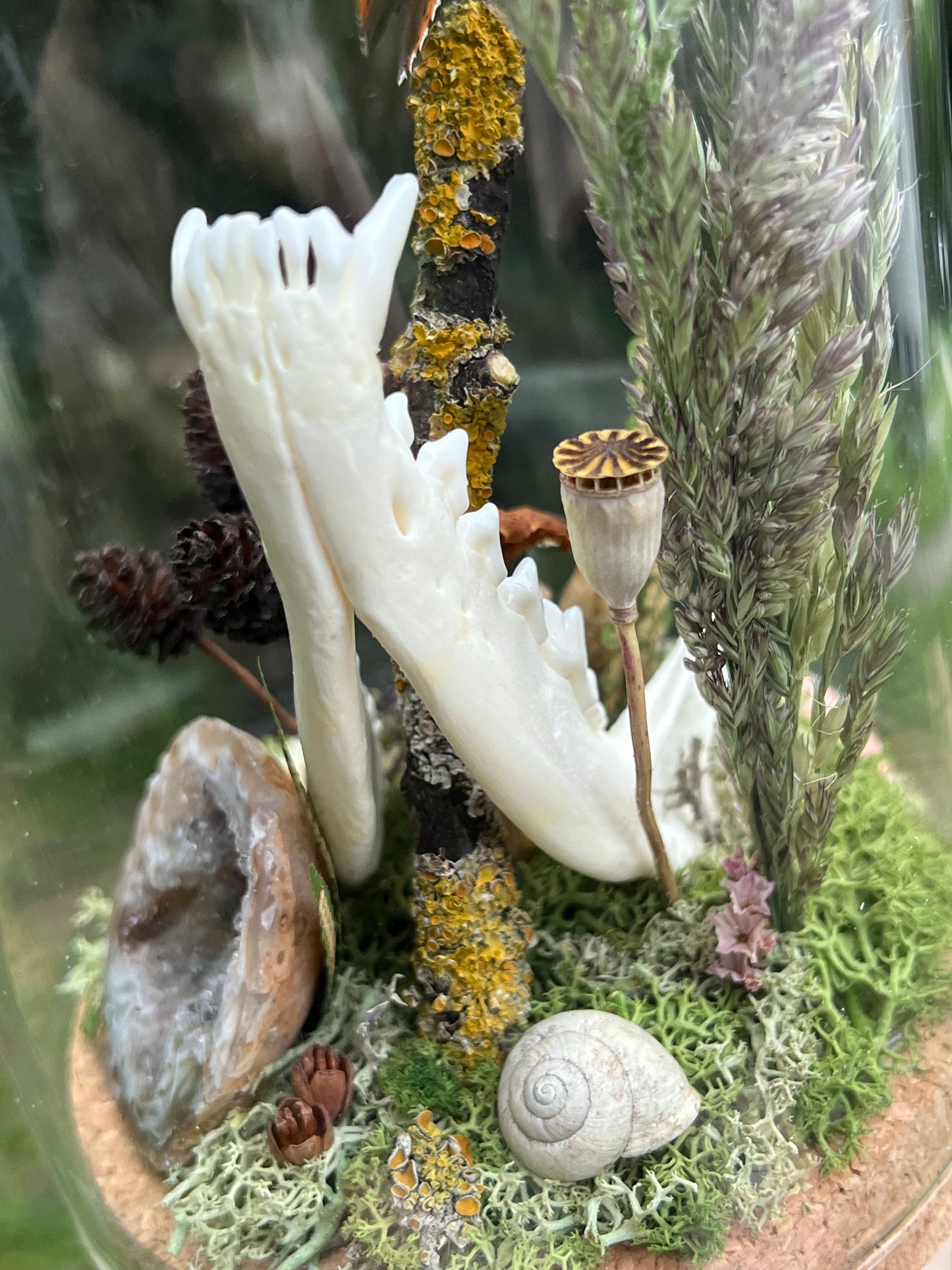 Diorama mit Fuchskiefer, Schmetterling & Achat Geode