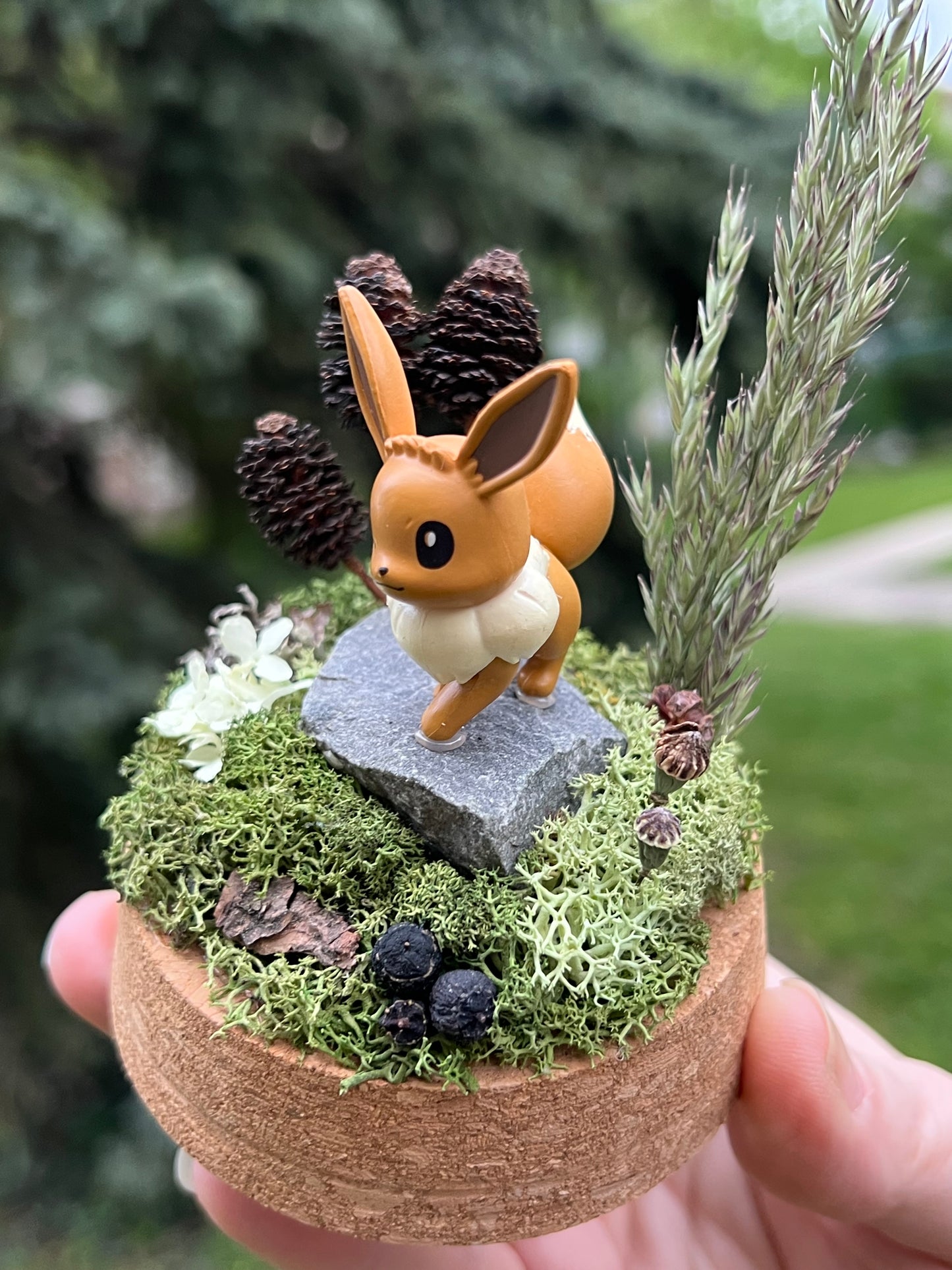 Evoli Miniaturwelt