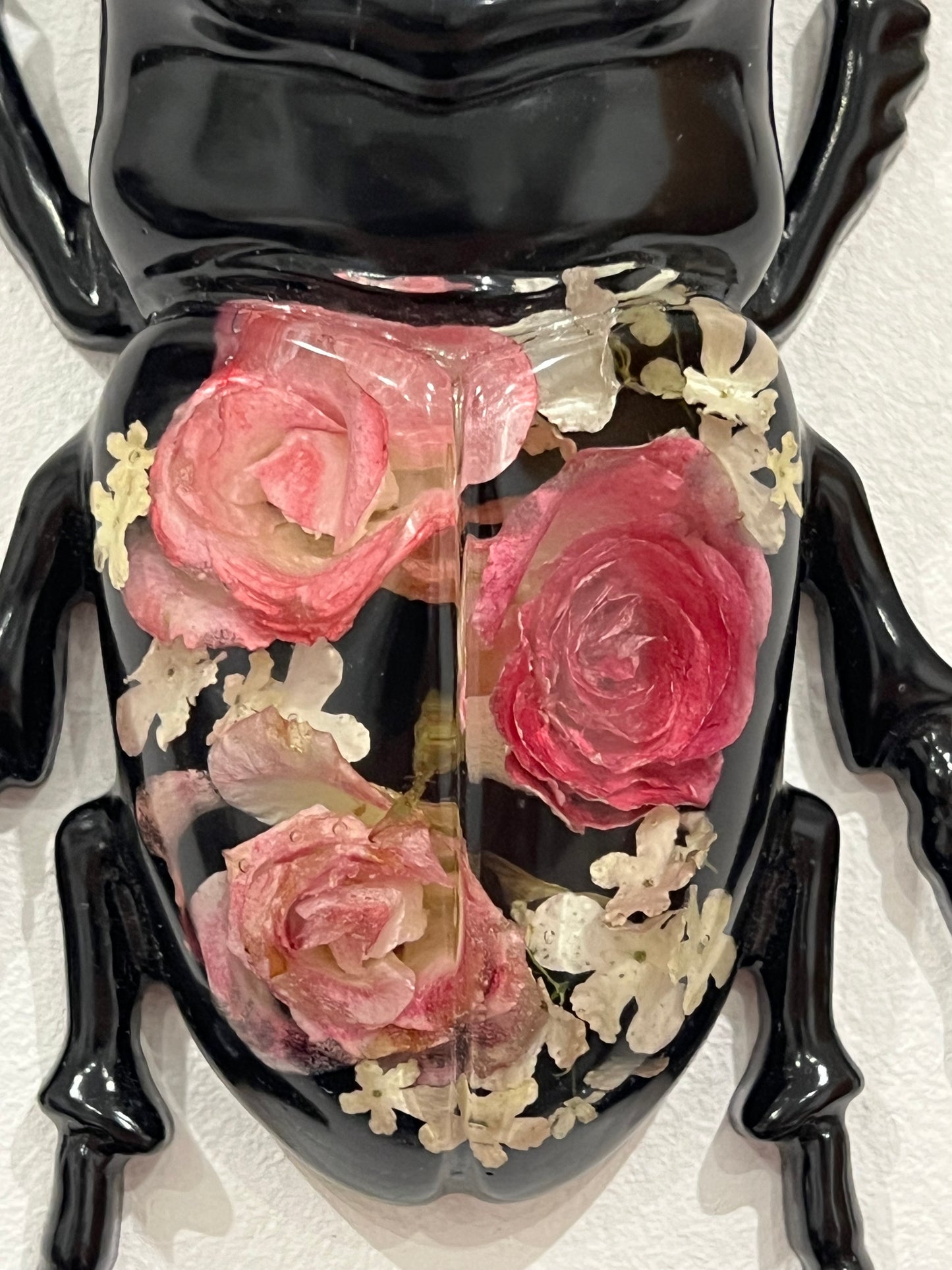 Hirschkäfer mit Rosen und Schneeballblüten