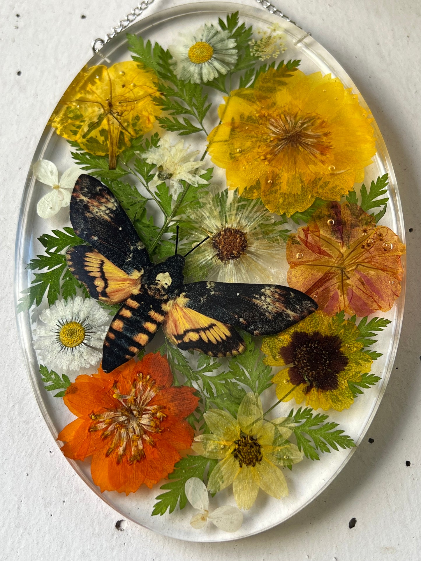 Wandbild mit Blumen und Totenkopfmotte aus Papier