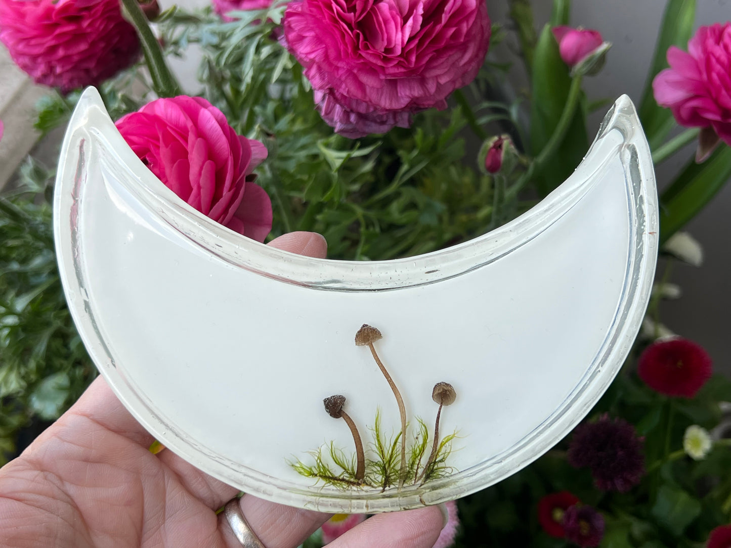 Mondschale mit Pilzen und Moos