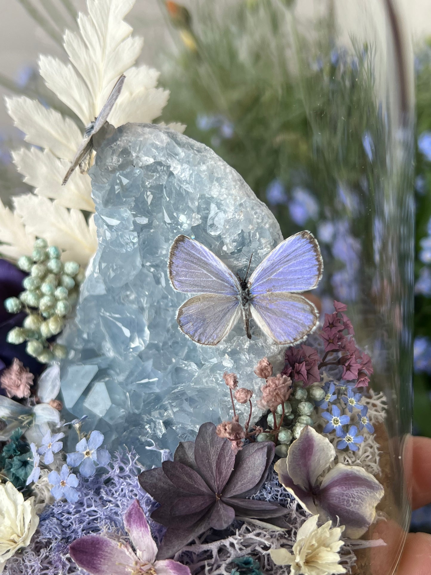Diorama mit Celestit Kristall, Schmetterlingen & Blumen