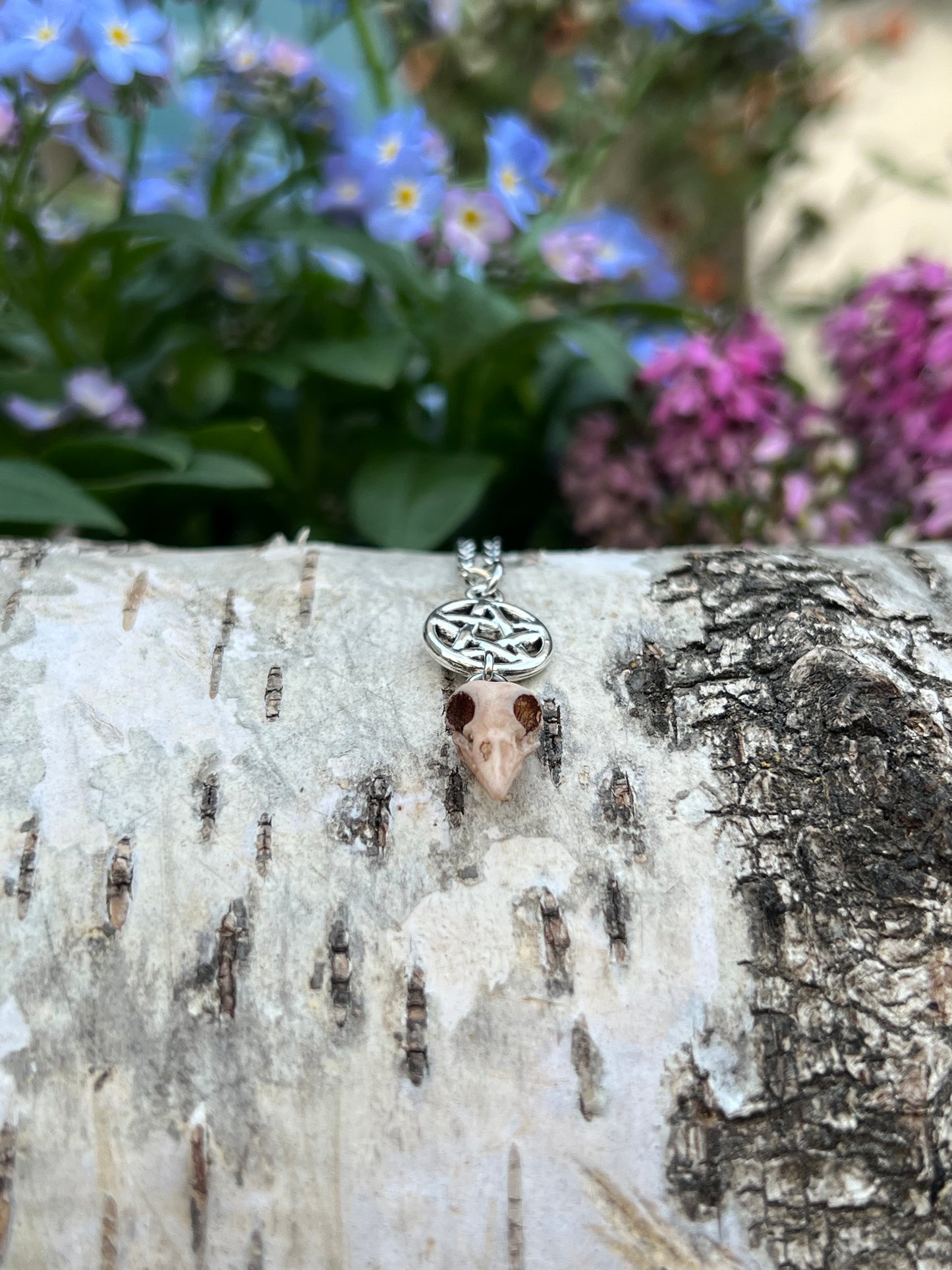 Mini Vogelschädel Halskette mit Pentagramm Silber